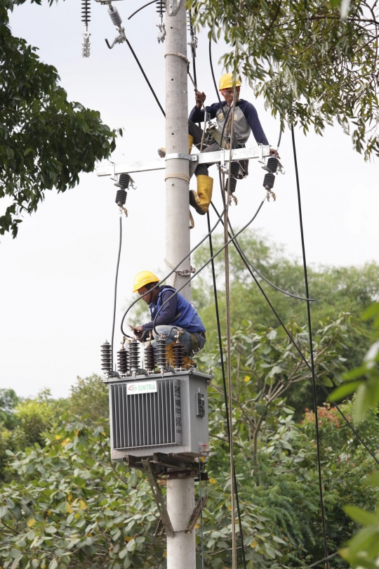 Perjuangan PLN Menyambung Kabel yang Terputus Usai Gempa Bumi di Cianjur