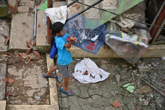 Aksi Penyelamatan Kucing dari Rumah Hancur Akibat Gempa Cianjur