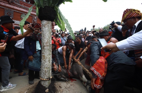 Melihat Upacara Adat Peresmian Erick Thohir Jadi Orang Batak