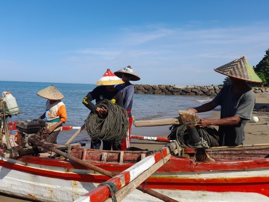 Potret Tradisi Maelo Pukek, Bergotong Royong Memanen Hasil Laut