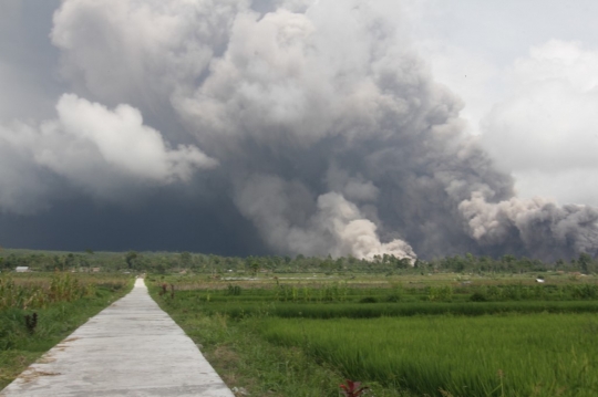 Dahsyatnya Erupsi Gunung Semeru Menerjang Jembatan Gladak Perak