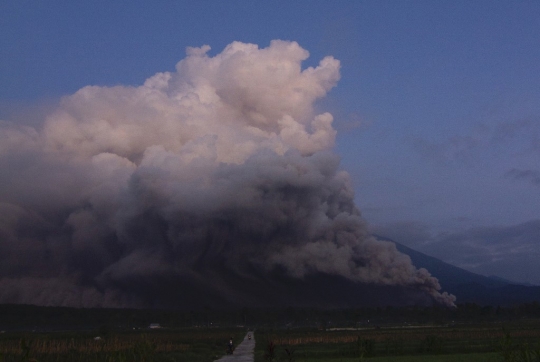 Dahsyatnya Erupsi Gunung Semeru Menerjang Jembatan Gladak Perak