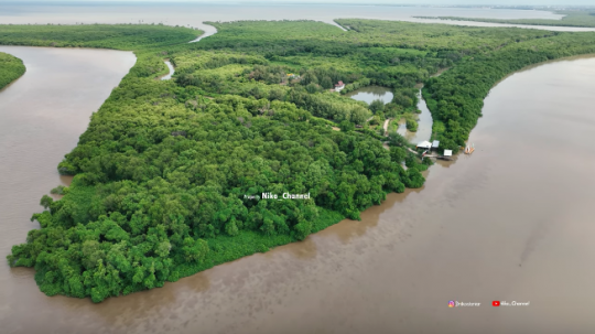 Potret Terbaru Pulau Lusi, Daratan Hasil dari Endapan Lumpur Lapindo Sidoarjo