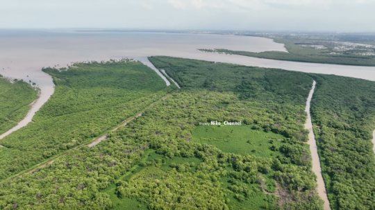 Potret Terbaru Pulau Lusi, Daratan Hasil dari Endapan Lumpur Lapindo Sidoarjo