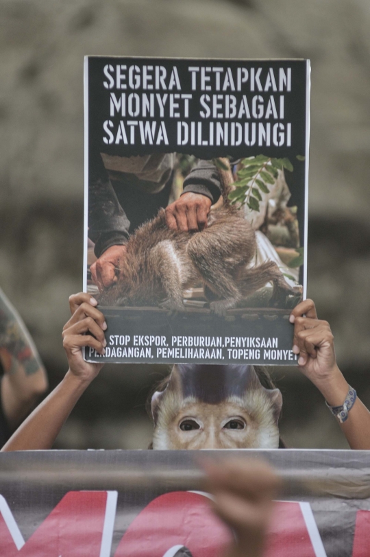Aktivis Primata Menuntut Penetapan Monyet sebagai Satwa Dilindungi