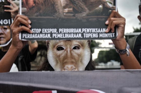 Aktivis Primata Menuntut Penetapan Monyet sebagai Satwa Dilindungi