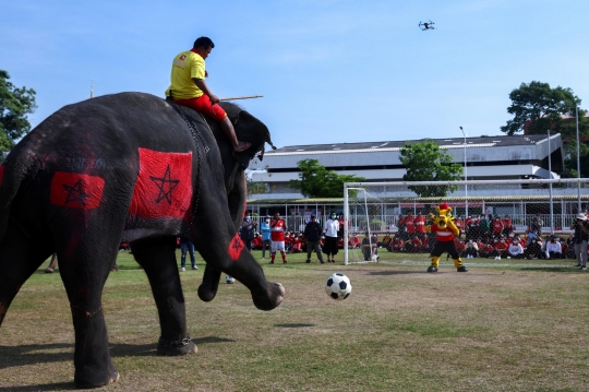 Aksi Gajah Thailand Unjuk Kebolehan di Momen Piala Dunia 2022