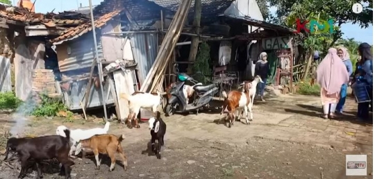 Sempat Viral karena Mahar Sertifikat Rumah, Intip Potret Rumah Yessi yang Sederhana