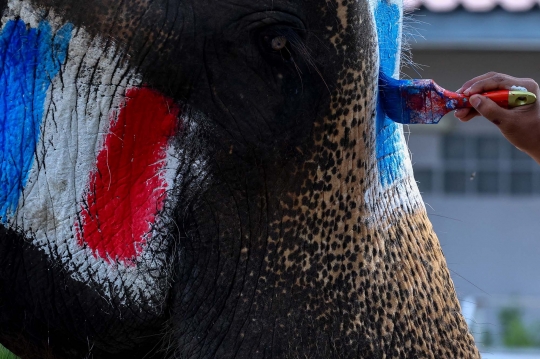 Melihat Keseruan Piala Dunia ala Gajah Thailand