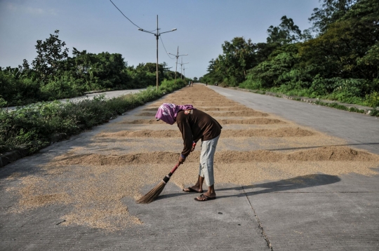 Stok Beras Bulog Tersisa 494.202 Ton