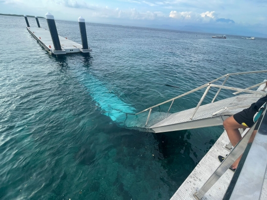 Detik-Detik Jembatan di Nusa Penida Ambruk, 35 Penumpang Tercebur ke Laut