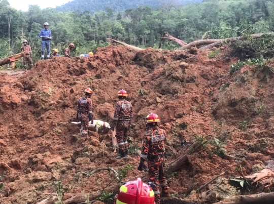 Bencana Longsor Terjang Bumi Perkemahan di Malaysia, Puluhan Orang Jadi Korban