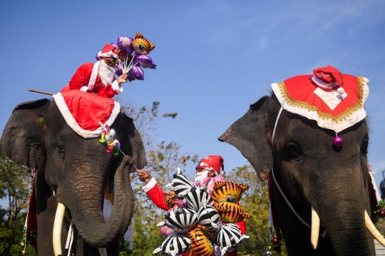 Aksi Gajah Sinterklas Berbagi Keceriaan Natal dengan Anak-Anak Thailand