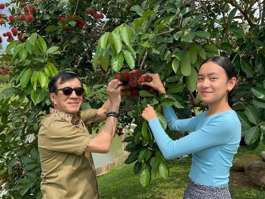 Kebun Luas Nan Indah Milik Menteri Yasonna, Sang Cucu Asyik Beri Makan Ikan di Kolam