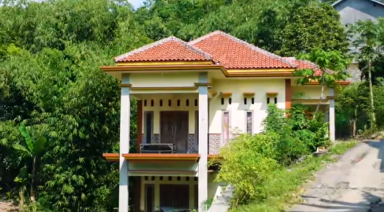 Intip Perkampungan Rumah Elegan di Tengah Hutan, Nyaris Tak Ada 'Gubuk'