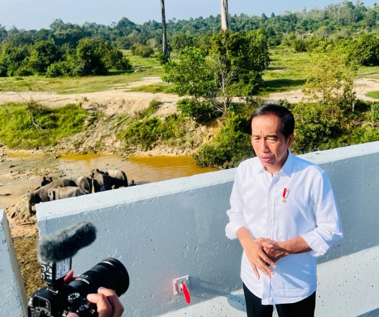 Reaksi Jokowi Melihat Gerombolan Gajah di Tol Permai