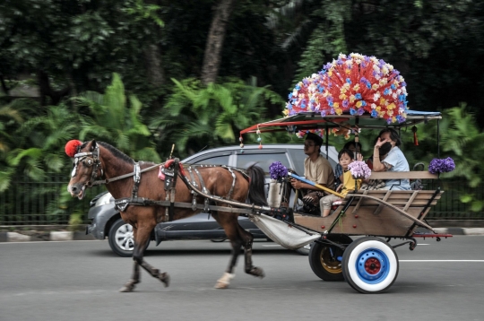 Larangan Operasional Delman di Monas