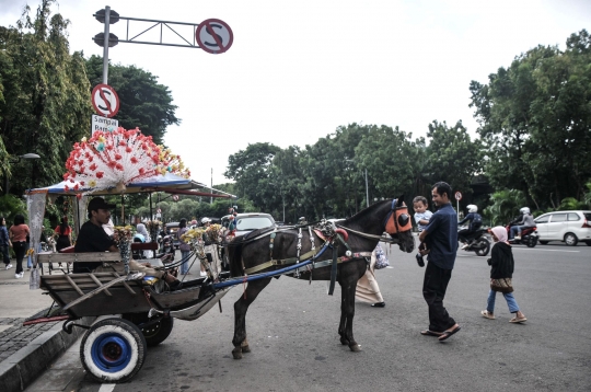 Larangan Operasional Delman di Monas