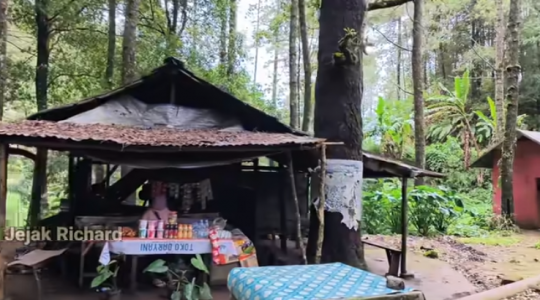 Potret Warung di Tengah Hutan, Masaknya Masih Tradisional Pakai Tungku