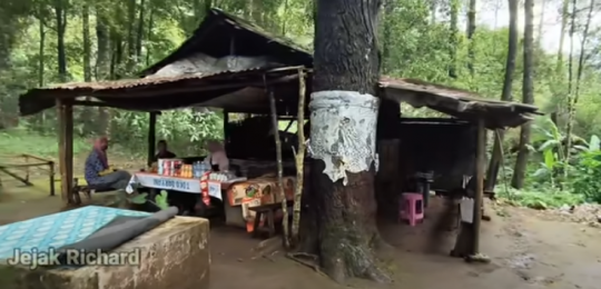 Potret Warung di Tengah Hutan, Masaknya Masih Tradisional Pakai Tungku