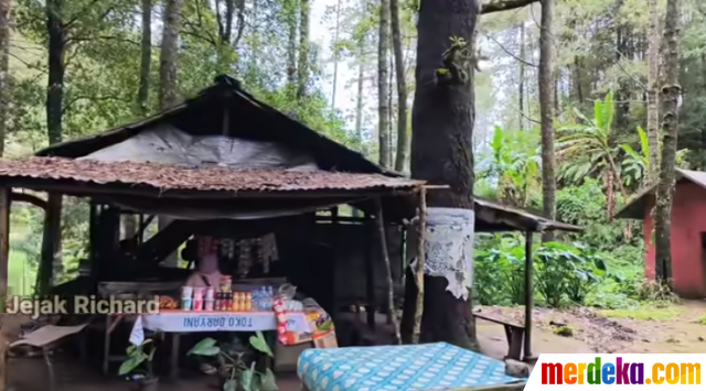 Foto Potret Warung Di Tengah Hutan Masaknya Masih Tradisional Pakai