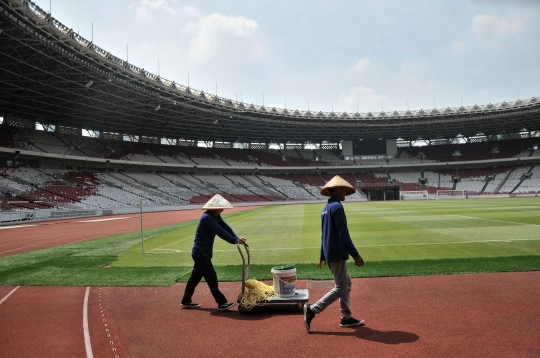 Perawatan Lapangan Stadion GBK Jelang Piala Dunia U-20