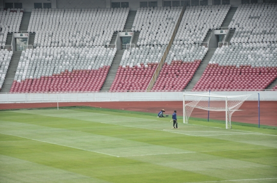 Perawatan Lapangan Stadion GBK Jelang Piala Dunia U-20