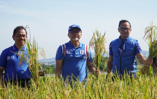 Mendag Panen Padi Pertama 2023 di Kota Bogor