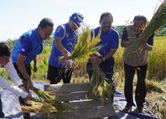 Mendag Panen Padi Pertama 2023 di Kota Bogor