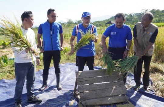 Mendag Panen Padi Pertama 2023 di Kota Bogor