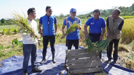 Mendag Panen Padi Pertama 2023 di Kota Bogor