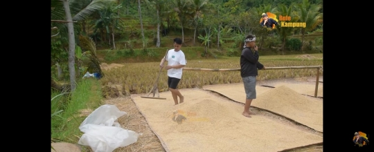 Endang Mulyana Ayah Lesti Tetap Hidup Sederhana, Jemur Padi 'Bikin Hati Bahagia'