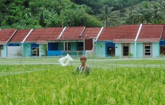 BTN Berikan Bunga Kredit Rendah untuk Kepemilikan Rumah