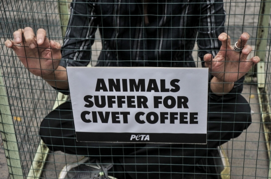 Aksi PETA Kecam Eksploitasi Luwak untuk Produksi Kopi