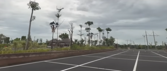 Intip Pesona Mangrove Tahura Ngurah Rai, Tempat Wisata Pejabat KTT G20 Bali