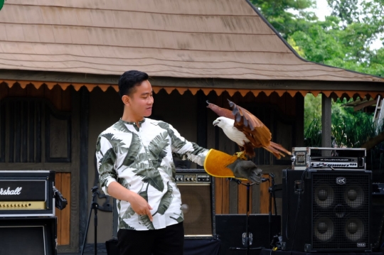 Momen Gibran Atraksi dengan Elang Bondol hingga Dikaitkan Pilgub DKI Jakarta