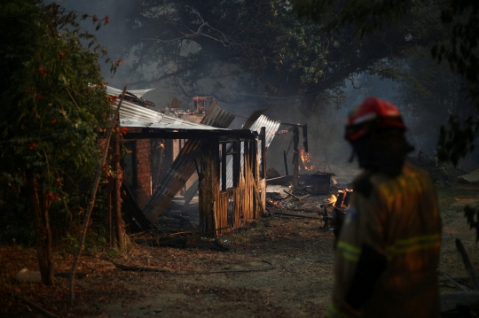 Gelombang Panas Hanguskan 750 Hektar Lahan di Chile, Para Penduduk Panik Mengungsi