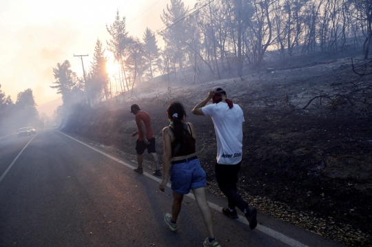 Gelombang Panas Hanguskan 750 Hektar Lahan di Chile, Para Penduduk Panik Mengungsi