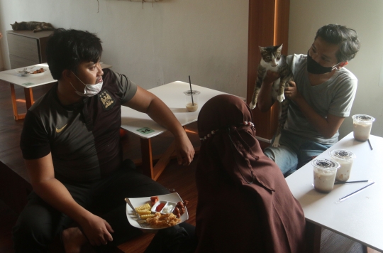 Serunya Bermain Bersama Kucing di Cat Cafe Depok