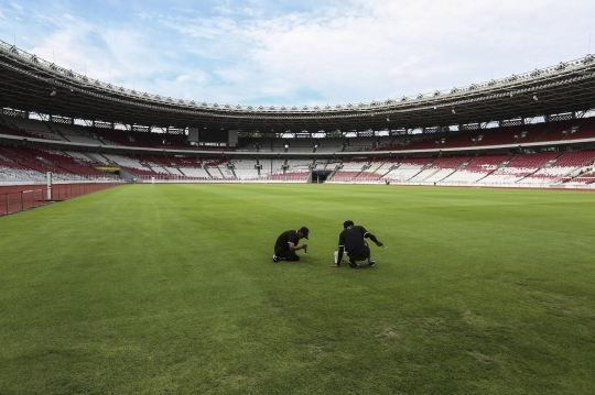 Perawatan Stadion GBK Jelang Piala Dunia U20