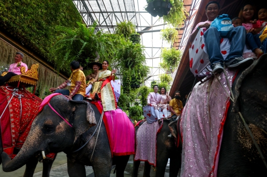 Hari Valentine, Puluhan Pasangan Menikah di Punggung Gajah Thailand