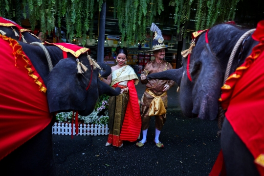 Hari Valentine, Puluhan Pasangan Menikah di Punggung Gajah Thailand