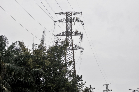 Bertaruh Nyawa Perbaiki Jaringan Listrik di Menara SUTET