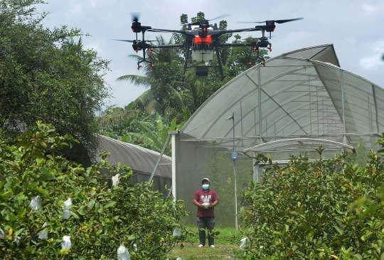 Inovasi Petani di Bogor Manfaatkan Drone untuk Siramkan Pupuk