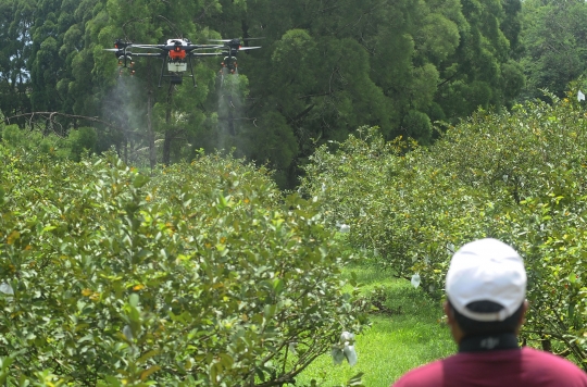 Inovasi Petani di Bogor Manfaatkan Drone untuk Siramkan Pupuk