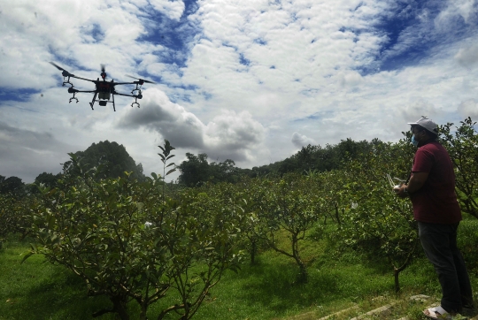 Inovasi Petani di Bogor Manfaatkan Drone untuk Siramkan Pupuk