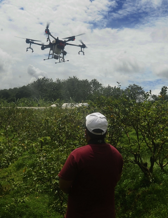 Inovasi Petani di Bogor Manfaatkan Drone untuk Siramkan Pupuk