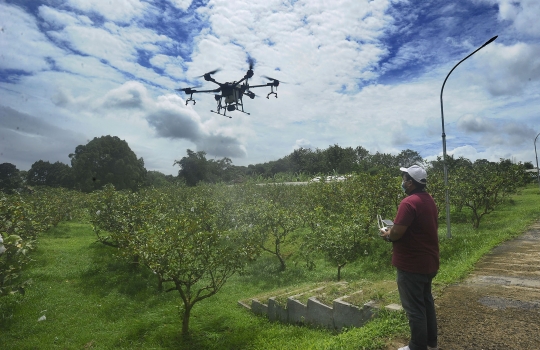 Inovasi Petani di Bogor Manfaatkan Drone untuk Siramkan Pupuk