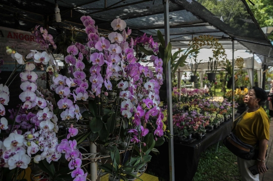 Mengunjungi Pameran Tanaman Floraction di Lapangan Banteng