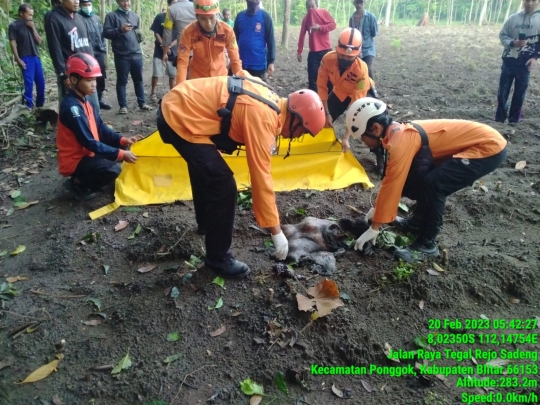 Potret Dampak Ledakan Dahsyat Petasan di Blitar, Puluhan Rumah Rusak